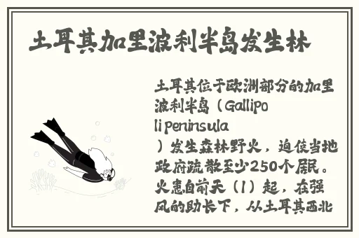 黑料正能量永不